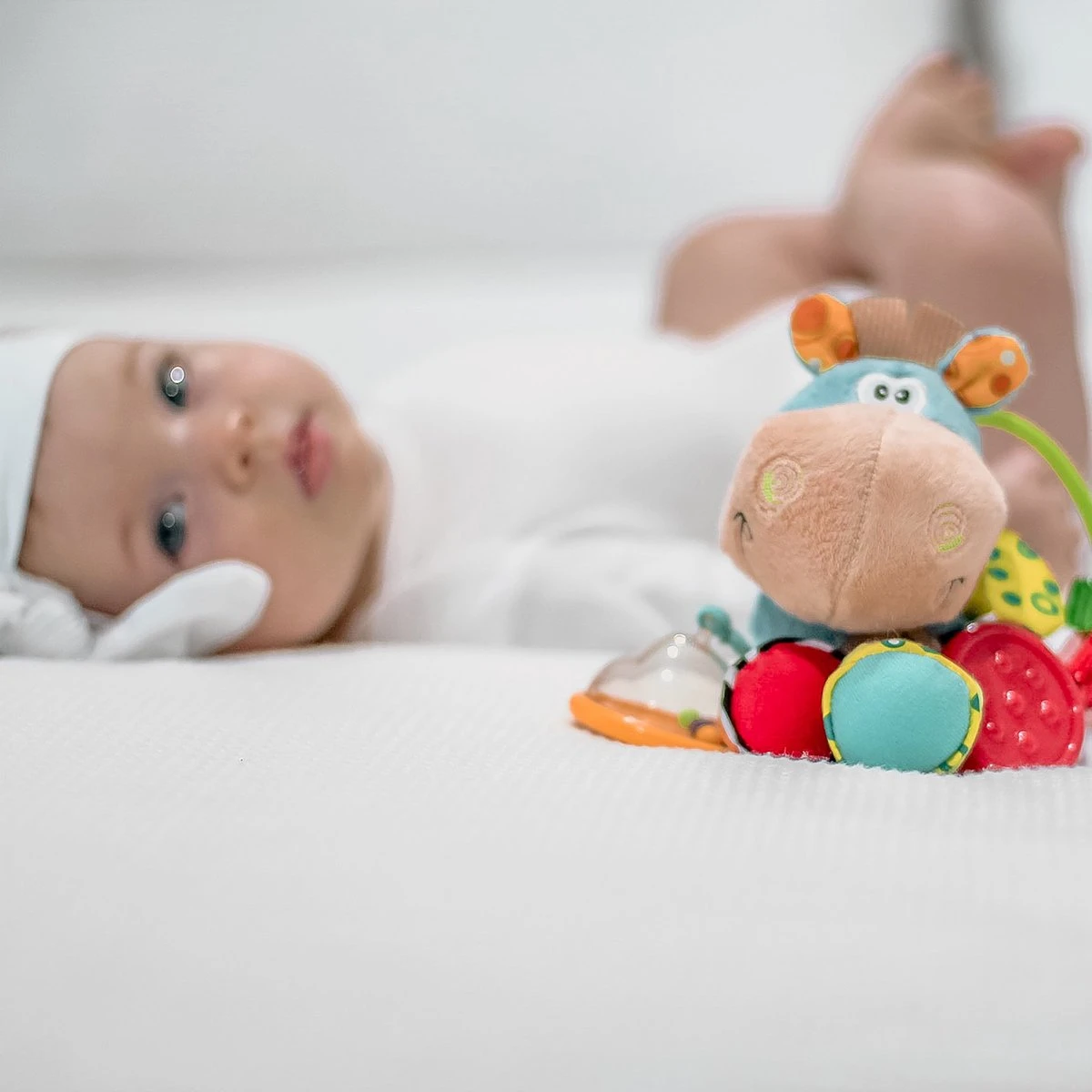 Playgro Clip Clop Rammelaar - Blauw - Activiteitenspeeltje - Kraamkado - Afbeelding 12