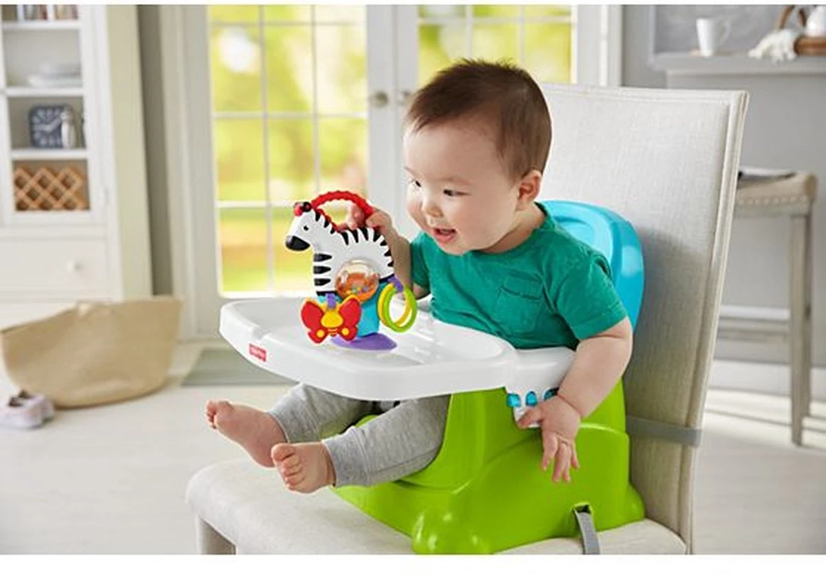 Fisher Price - Activity Zebra - Rammelaar - Speeltje En Bijtring - Grijpspeelgoed - Afbeelding 6